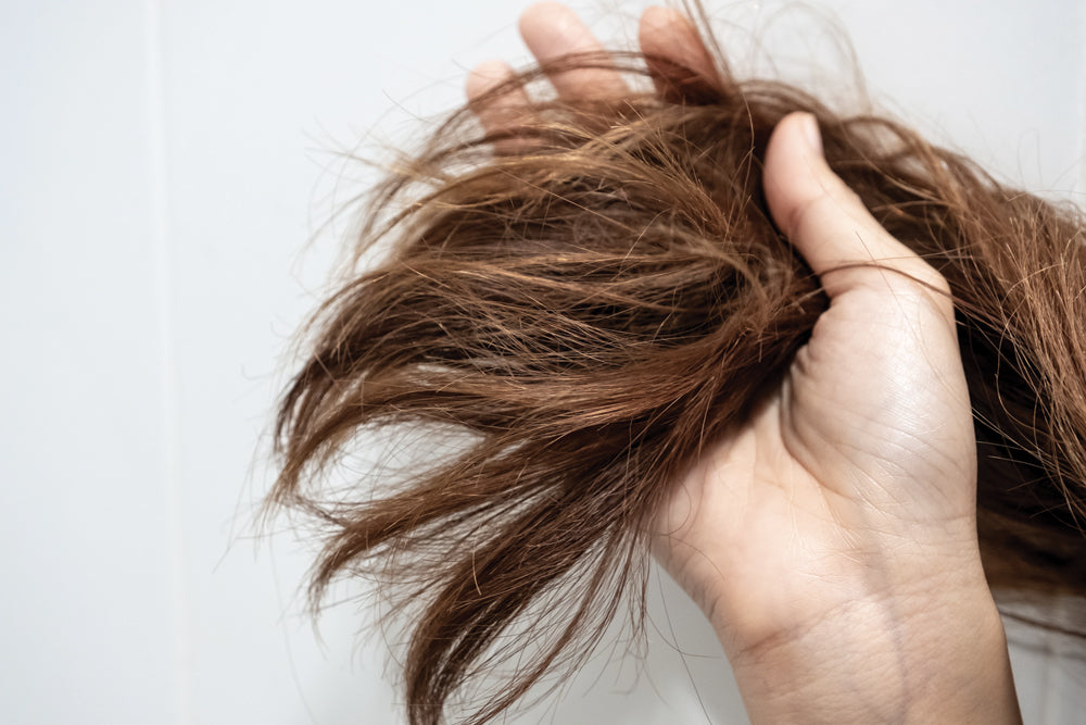 Capelli secchi: cause e rimedi efficaci