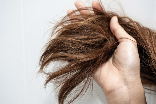 Capelli secchi: cause e rimedi efficaci