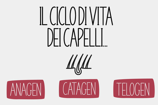 Il ciclo di vita dei capelli