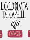 Il ciclo di vita dei capelli